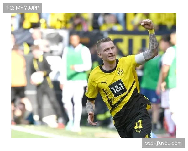 德甲体系下里贝里与罗伊斯进攻角色分化解析